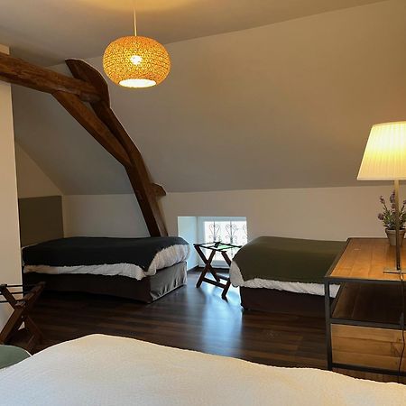 Chateau Du Mauny, Gites Et Chambres D'Hotes En Bourgogne Rosey Zewnętrze zdjęcie