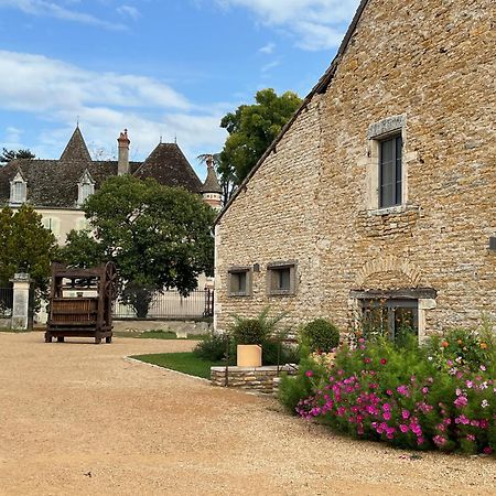 Chateau Du Mauny, Gites Et Chambres D'Hotes En Bourgogne Rosey Zewnętrze zdjęcie