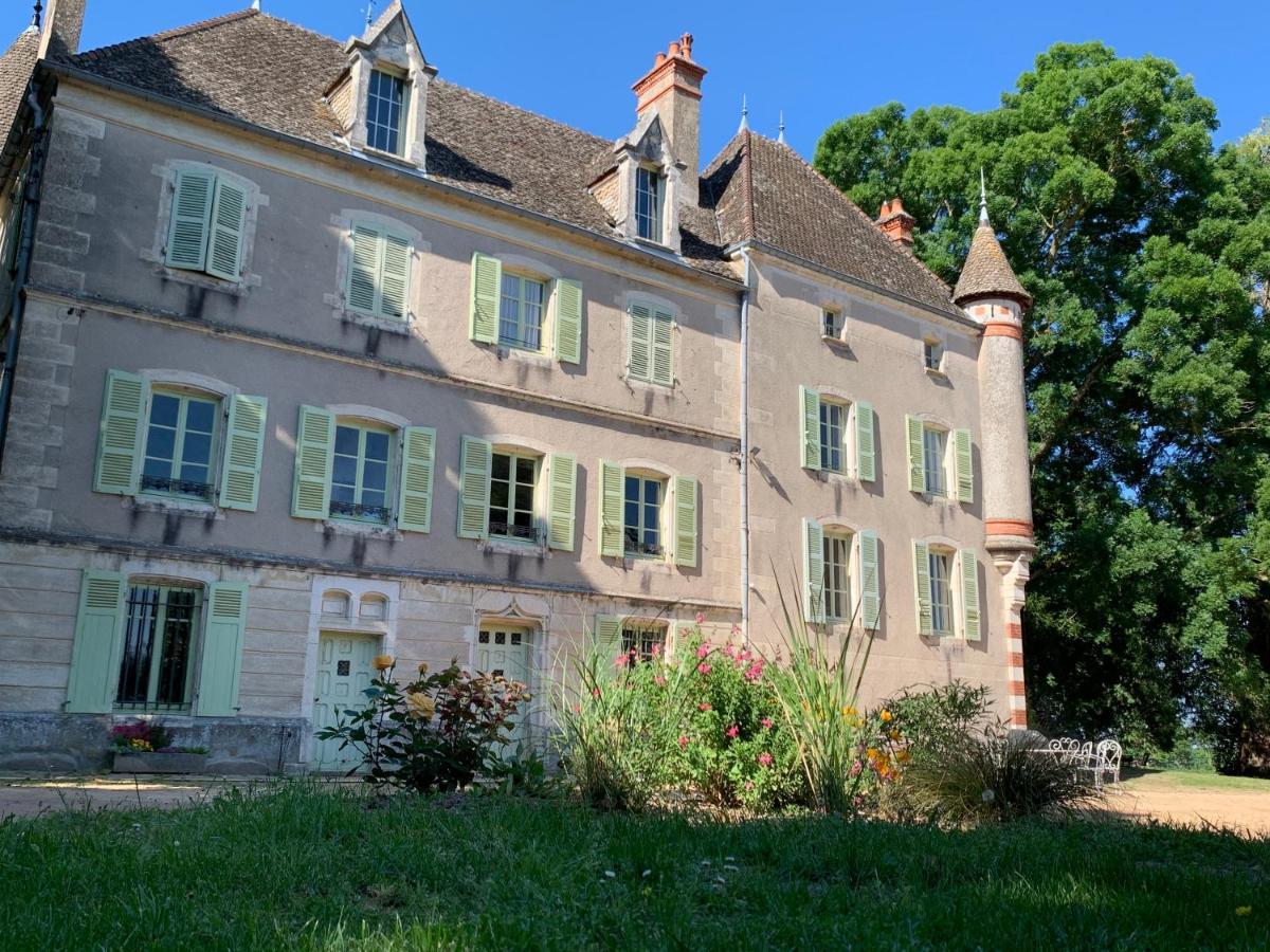 Chateau Du Mauny, Gites Et Chambres D'Hotes En Bourgogne Rosey Zewnętrze zdjęcie