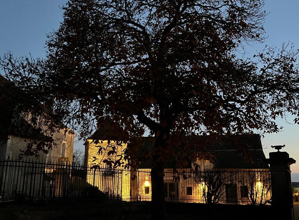 Chateau Du Mauny, Gites Et Chambres D'Hotes En Bourgogne Rosey Zewnętrze zdjęcie