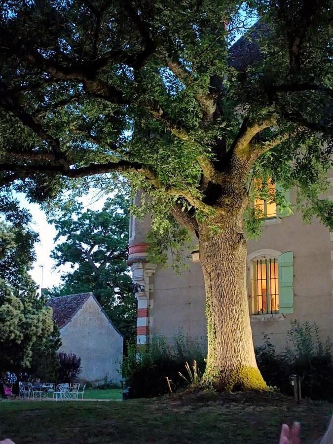 Chateau Du Mauny, Gites Et Chambres D'Hotes En Bourgogne Rosey Zewnętrze zdjęcie