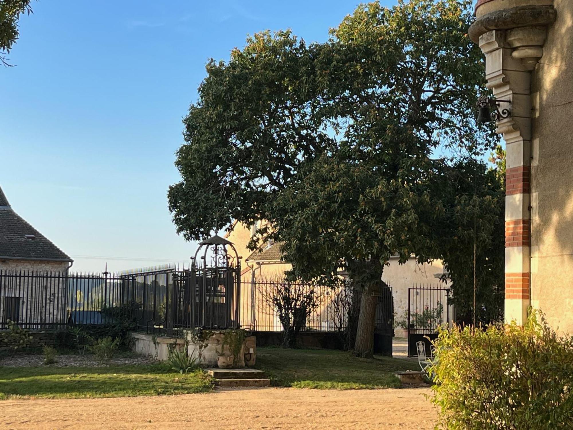 Chateau Du Mauny, Gites Et Chambres D'Hotes En Bourgogne Rosey Zewnętrze zdjęcie